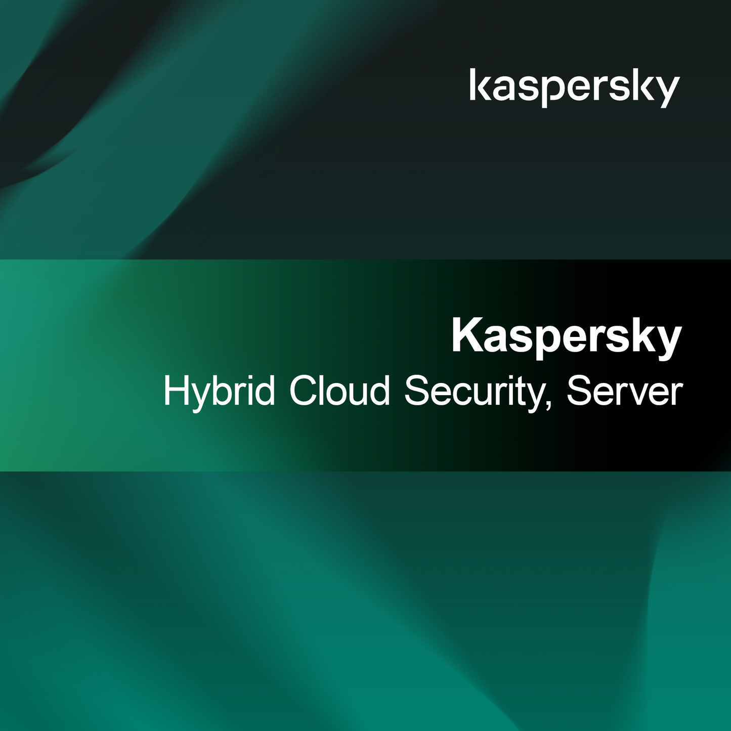 Kaspersky Hybrid Cloud Security, Servidor